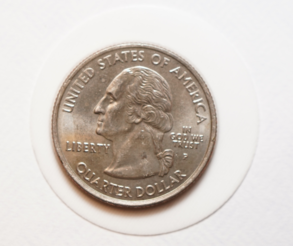 Garment Chip